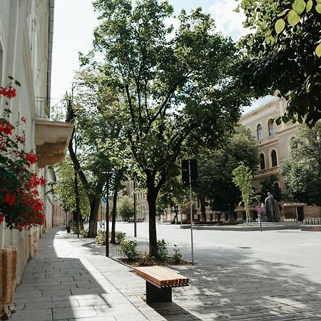 Contessa Central Studio Cluj-Napoca Ngoại thất bức ảnh