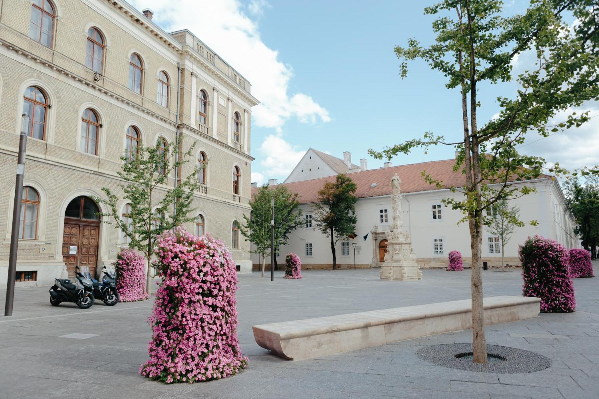 Contessa Central Studio Cluj-Napoca Ngoại thất bức ảnh