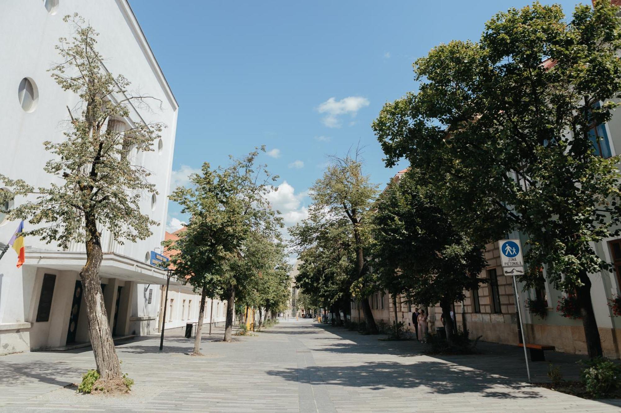 Contessa Central Studio Cluj-Napoca Ngoại thất bức ảnh